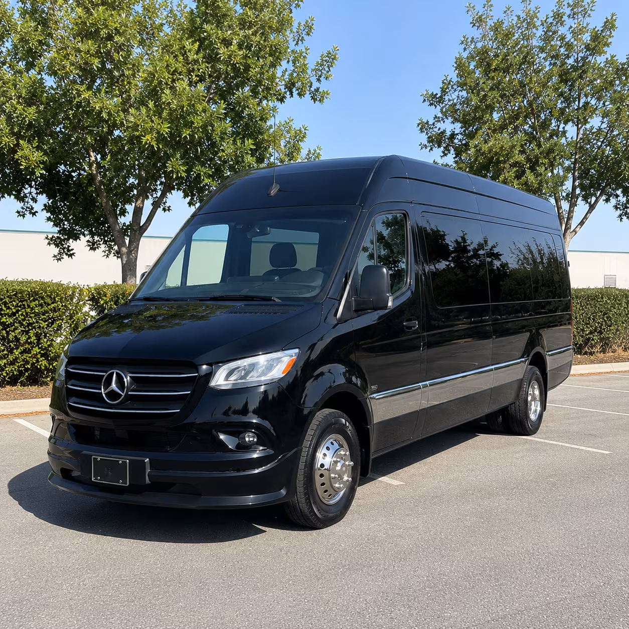 coral springs wedding sprinter van rental